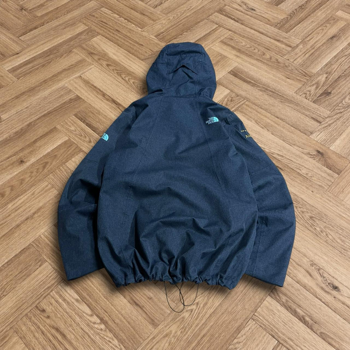 Y2K North Face DryVent ski jacket Women's TNF snow boarding coat adjustable hooded technical jacket