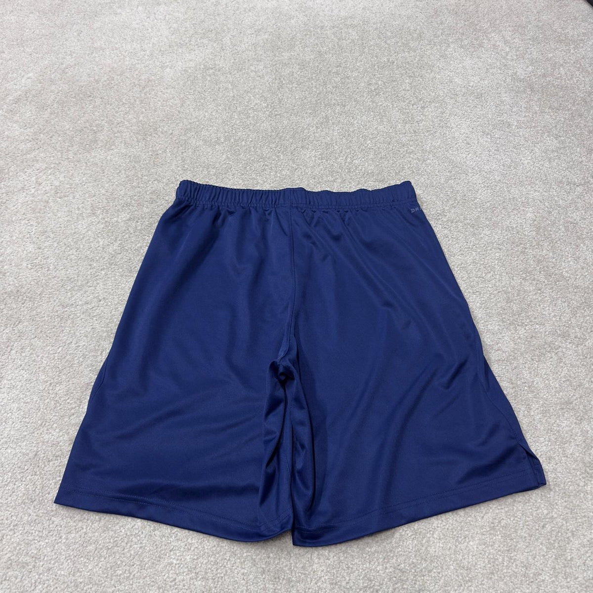 Nike sports shorts y2k loose blue Dri-Fit comfy floaty summer gym shorts
